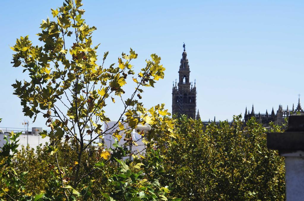 Apartamentos Adriano Sevilla Pokoj fotografie